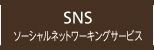 SNS ソーシャルネットワーキングサービス